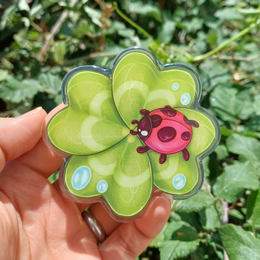 Acrylic Pin Ladybug
